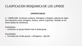 CLASIFICACION BIOQUIMICA DE LOS LIPIDOS
SAPONIFICABLES
2.- COMPLEJOS: Contienen carbono, hidrogeno y Oxigeno. Además de algún
otro elemento como nitrógeno, fosforo, azufre o glúcidos. También se les
llama lípidos de membrana.
Fosfolípidos:
▶ Contienen un grupo fosfato más el ácido graso.
Glucolípidos:
▶ Formados por ácidos grasos + esfingosina + glúcido
 