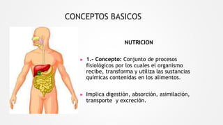 CONCEPTOS BASICOS
NUTRICION
▶ 1.- Concepto: Conjunto de procesos
fisiológicos por los cuales el organismo
recibe, transforma y utiliza las sustancias
químicas contenidas en los alimentos.
▶ Implica digestión, absorción, asimilación,
transporte y excreción.
 