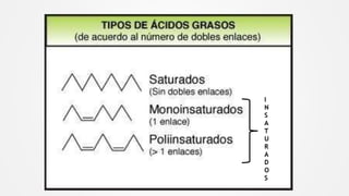 I
N
S
A
T
U
R
A
D
O
S
 