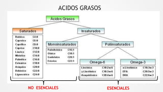 ACIDOS GRASOS
ESENCIALES
NO ESENCIALES
 