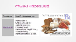 VITAMINAS HIDROSOLUBLES
 