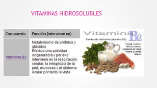 VITAMINAS HIDROSOLUBLES
 