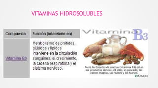 VITAMINAS HIDROSOLUBLES
 