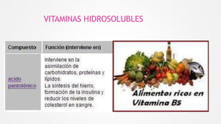 VITAMINAS HIDROSOLUBLES
 