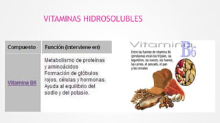 VITAMINAS HIDROSOLUBLES
 