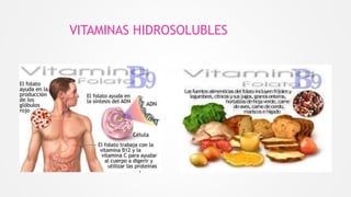 VITAMINAS HIDROSOLUBLES
 
