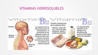 VITAMINAS HIDROSOLUBLES
 