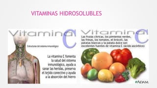 VITAMINAS HIDROSOLUBLES
 