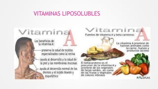 VITAMINAS LIPOSOLUBLES
 