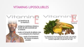 VITAMINAS LIPOSOLUBLES
 