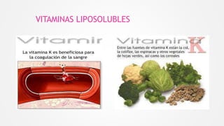 VITAMINAS LIPOSOLUBLES
 