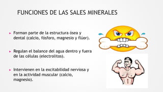 FUNCIONES DE LAS SALES MINERALES
▶ Forman parte de la estructura ósea y
dental (calcio, fósforo, magnesio y flúor).
▶ Regulan el balance del agua dentro y fuera
de las células (electrolitos).
▶ Intervienen en la excitabilidad nerviosa y
en la actividad muscular (calcio,
magnesio).
 