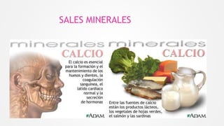 SALES MINERALES
 