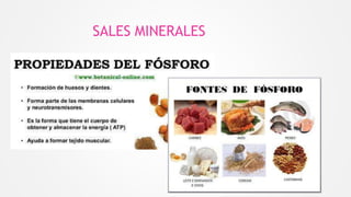 SALES MINERALES
 