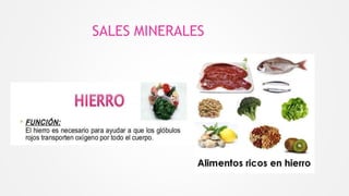 SALES MINERALES
 