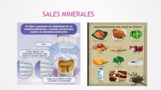 SALES MINERALES
 