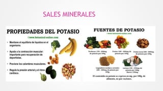 SALES MINERALES
 