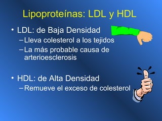 Lipoproteínas: LDL y HDL
• LDL: de Baja Densidad
–Lleva colesterol a los tejidos
–La más probable causa de
arterioesclerosis
• HDL: de Alta Densidad
–Remueve el exceso de colesterol
 