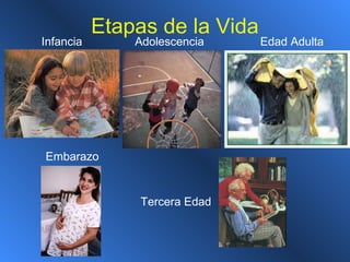 Etapas de la Vida
AdolescenciaInfancia
Embarazo
Tercera Edad
Edad Adulta
 