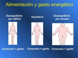 Alimentación y gasto energético
EquilibrioDesequilibrio
por déficit
Desequilibrio
por exceso
Consumo = gastoConsumo < gasto Consumo > gasto
 