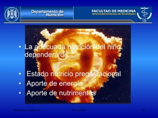 La adecuada nutrición del niño dependerá de: Estado nutricio pregestacional Aporte de energía Aporte de nutrimentos 