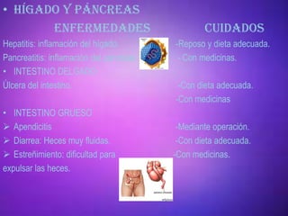 • HÍGADO Y PÁNCREAS
       ENFERMEDADES                               CUIDADOS
Hepatitis: inflamación del hígado.        -Reposo y dieta adecuada.
Pancreatitis: inflamación del páncreas.    - Con medicinas.
• INTESTINO DELGADO
Úlcera del intestino.                      -Con dieta adecuada.
                                          -Con medicinas
• INTESTINO GRUESO
 Apendicitis                              -Mediante operación.
 Diarrea: Heces muy fluidas.              -Con dieta adecuada.
 Estreñimiento: dificultad para          -Con medicinas.
expulsar las heces.
 