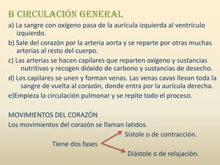 B CIRCULACIÓN GENERAL
a) La sangre con oxígeno pasa de la aurícula izquierda al ventrículo
   izquierdo.
b) Sale del corazón por la arteria aorta y se reparte por otras muchas
   arterias al resto del cuerpo.
c) Las arterias se hacen capilares que reparten oxígeno y sustancias
     nutritivas y recogen dióxido de carbono y sustancias de desecho.
d) Los capilares se unen y forman venas. Las venas cavas llevan toda la
     sangre de vuelta al corazón, donde entra por la aurícula derecha.
e)Empieza la circulación pulmonar y se repite todo el proceso.

MOVIMIENTOS DEL CORAZÓN
Los movimientos del corazón se llaman latidos.
                                     Sístole o de contracción.
             Tiene dos fases
                                       Diástole o de relajación.
 