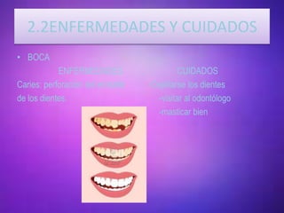 2.2ENFERMEDADES Y CUIDADOS
• BOCA
            ENFERMEDADES                   CUIDADOS
Caries: perforación del esmalte   -Cepillarse los dientes
de los dientes.                      -visitar al odontólogo
                                     -masticar bien
 