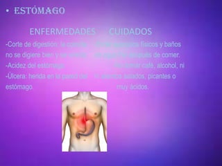 • ESTÓMAGO

        ENFERMEDADES                  CUIDADOS
-Corte de digestión: la comida -Evitar ejercicios físicos y baños
no se digiere bien y se vomita. de agua fría después de comer.
-Acidez del estómago.                   -No tomar café, alcohol, ni
-Úlcera: herida en la pared del ni alientos salados, picantes o
estómago.                                muy ácidos.
 