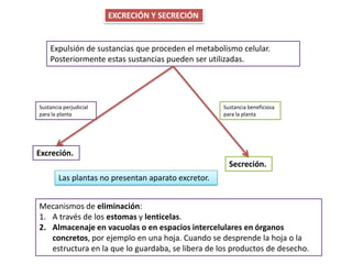EXCRECIÓN Y SECRECIÓN


    Expulsión de sustancias que proceden el metabolismo celular.
    Posteriormente estas sustancias pueden ser utilizadas.




Sustancia perjudicial                                Sustancia beneficiosa
para la planta                                       para la planta




Excreción.
                                                       Secreción.
        Las plantas no presentan aparato excretor.


Mecanismos de eliminación:
1. A través de los estomas y lenticelas.
2. Almacenaje en vacuolas o en espacios intercelulares en órganos
   concretos, por ejemplo en una hoja. Cuando se desprende la hoja o la
   estructura en la que lo guardaba, se libera de los productos de desecho.
 