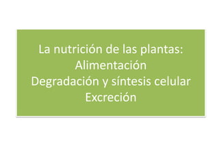 La nutrición de las plantas:
        Alimentación
Degradación y síntesis celular
          Excreción
 