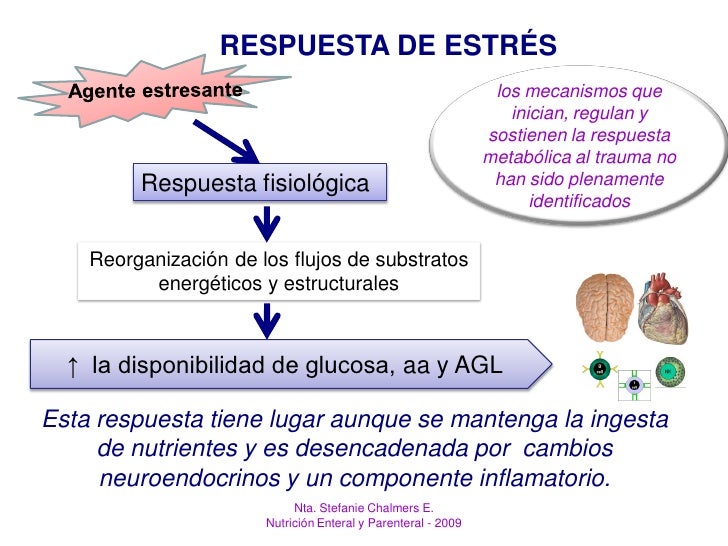 Nutrición Respuesta MetabóLica Nutricional En El Paciente CríTico