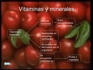 Vitaminas y minerales Vitaminas y minerales Muchas funciones Se encuentran presentes en Buen funcionamiento del organismo Necesarias en pequeñas cantidades No pueden ser fabricados por el organismo Frutas y vegetales 