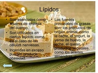 Lípidos Son esenciales como reserva de energía del cuerpo. Son utilizados en ciertos tejidos, como es el caso de las células nerviosas. Ingeridas en exceso pueden producir obesidad. Las fuentes principales de grasas son: los productos de origen animal, como la carne, el yogurt, la yema de huevo, la leche, el queso, y productos vegetales, como los aceites, almendras, nueces. 