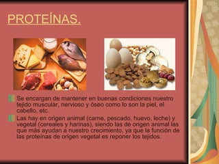 PROTEÍNAS. Se encargan de mantener en buenas condiciones nuestro tejido muscular, nervioso y óseo como lo son la piel, el cabello, etc. Las hay en origen animal (carne, pescado, huevo, leche) y vegetal (cereales y harinas), siendo las de origen animal las que más ayudan a nuestro crecimiento, ya que la función de las proteínas de origen vegetal es reponer los tejidos. 