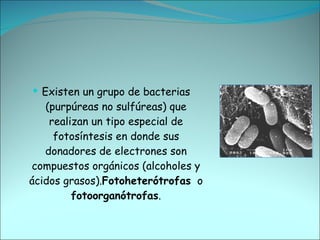 Existen un grupo de bacterias (purpúreas no sulfúreas) que realizan un tipo especial de fotosíntesis en donde sus donadores de electrones son compuestos orgánicos (alcoholes y ácidos grasos). Fotoheterótrofas   o  fotoorganótrofas . 