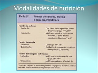 Modalidades de nutrición 