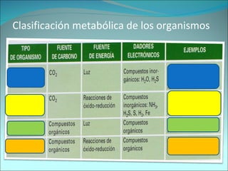 Clasificación metabólica de los organismos 