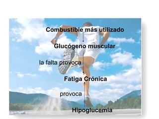 Combustible más utilizado

     Glucógeno muscular

la falta provoca

         Fatiga Crónica

       provoca

            Hipoglucemia
 