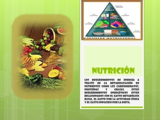 NUTRICIÓN
Los requerimientos de energía a
través de la metabolización de
nutrientes como los carbohidratos,
proteínas      y     grasas.      Estos
requerimientos energéticos están
relacionados con el gasto metabólico
basal, el gasto por la actividad física
y el gasto inducido por la dieta.
 