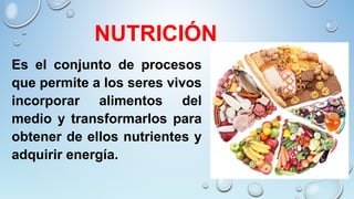 NUTRICIÓN
Es el conjunto de procesos
que permite a los seres vivos
incorporar alimentos del
medio y transformarlos para
obtener de ellos nutrientes y
adquirir energía.
 