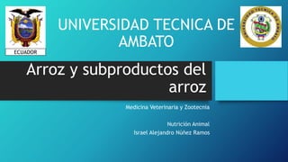 Arroz y subproductos del
arroz
Medicina Veterinaria y Zootecnia
Nutrición Animal
Israel Alejandro Núñez Ramos
UNIVERSIDAD TECNICA DE
AMBATOECUADOR
 
