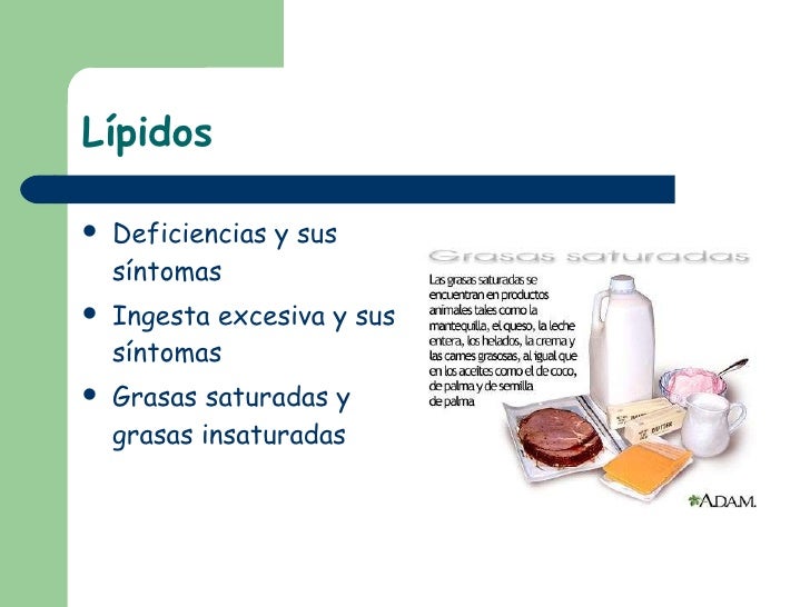 Nutrición básica