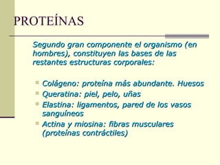 PROTEÍNAS
Segundo gran componente el organismo (enSegundo gran componente el organismo (en
hombres), constituyen las bases de lashombres), constituyen las bases de las
restantes estructuras corporales:restantes estructuras corporales:
 Colágeno: proteína más abundante. HuesosColágeno: proteína más abundante. Huesos
 Queratina: piel, pelo, uñasQueratina: piel, pelo, uñas
 Elastina: ligamentos, pared de los vasosElastina: ligamentos, pared de los vasos
sanguíneossanguíneos
 Actina y miosina: fibras muscularesActina y miosina: fibras musculares
(proteínas contráctiles)(proteínas contráctiles)
 