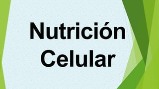 Nutrición
Celular
 