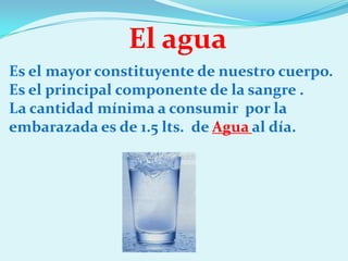 El agua
Es el mayor constituyente de nuestro cuerpo.
Es el principal componente de la sangre .
La cantidad mínima a consumir por la
embarazada es de 1.5 lts. de Agua al día.
 