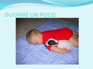 DUERME UN POCO
 