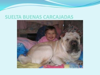 SUELTA BUENAS CARCAJADAS
 