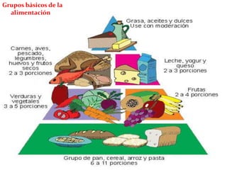 Grupos básicos de la
  alimentación
 