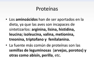 Proteínas
• Los aminoácidos han de ser aportados en la
  dieta, ya que las aves son incapaces de
  sintetizarlos: arginina, lisina, histidina,
  leucina; isoleucina, valina, metionina,
  treonina, triptofano y fenilalanina.
• La fuente más común de proteínas son las
  semillas de leguminosas (arvejas, porotos) y
  otras como abisín, perilla, etc.
 